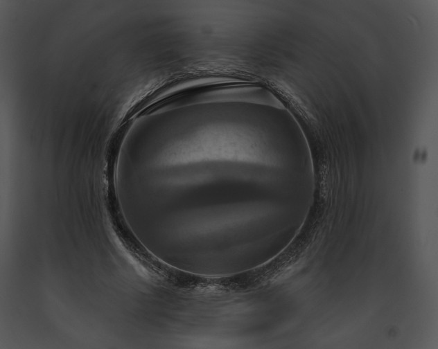 X0000091640634200708301359