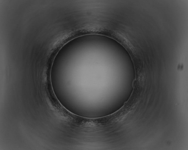 X0000091640635200708301359