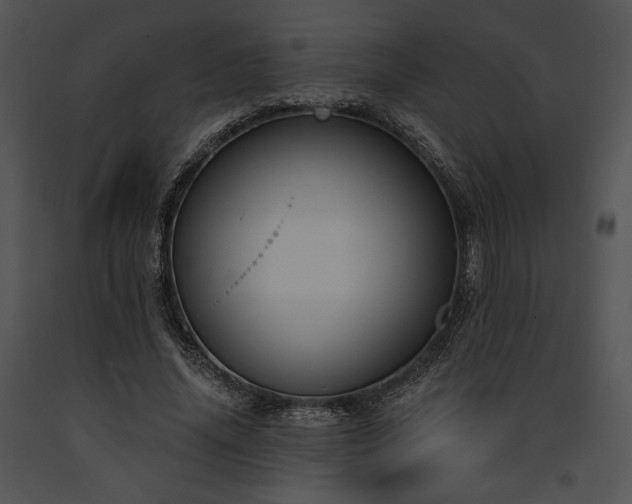 X0000091640636200708301359