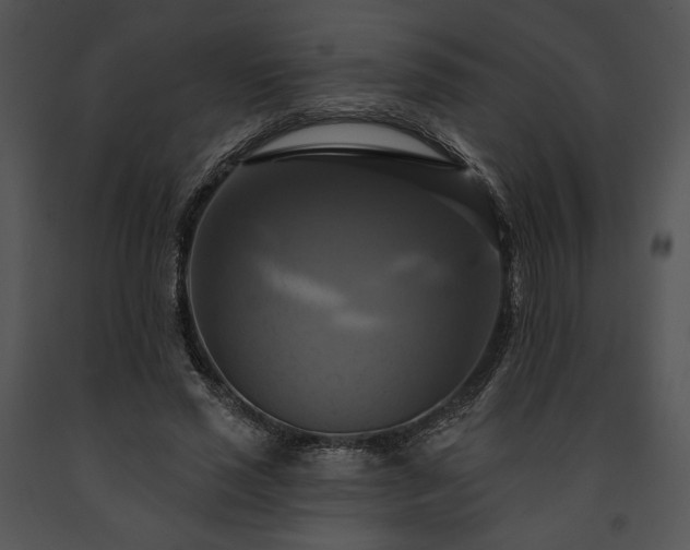 X0000091640637200708301359