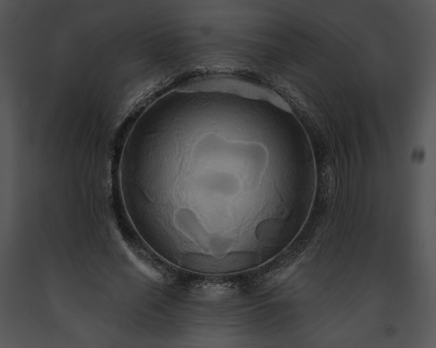 X0000091640638200708301359