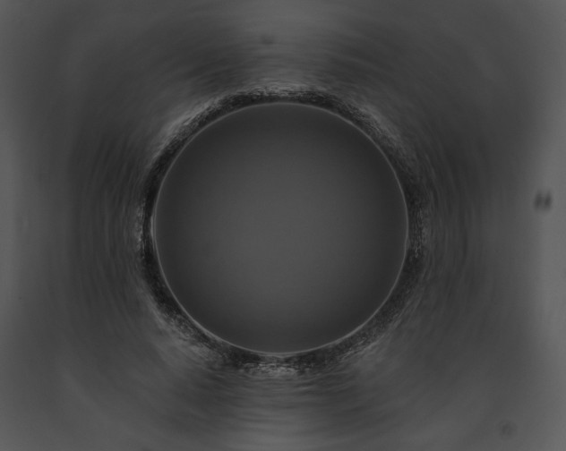 X0000091640640200708301359