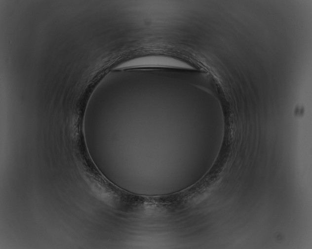 X0000091640641200708301359