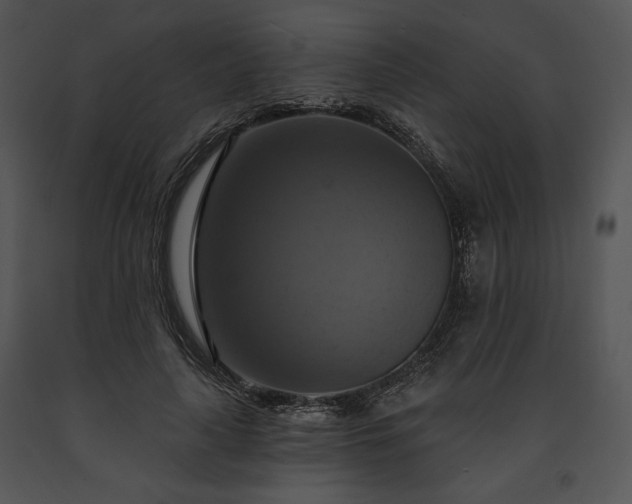 X0000091640643200708301359