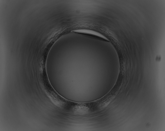 X0000091640644200708301359