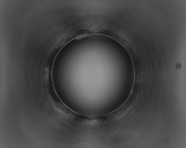 X0000091640646200708301359