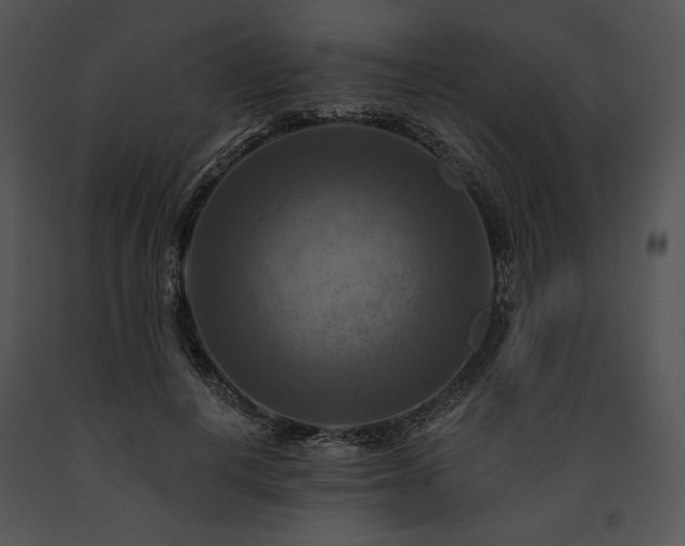 X0000091640648200708301359