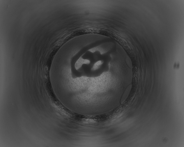 X0000091640649200708301359