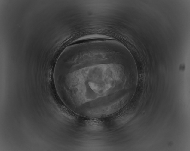 X0000091640652200708301359