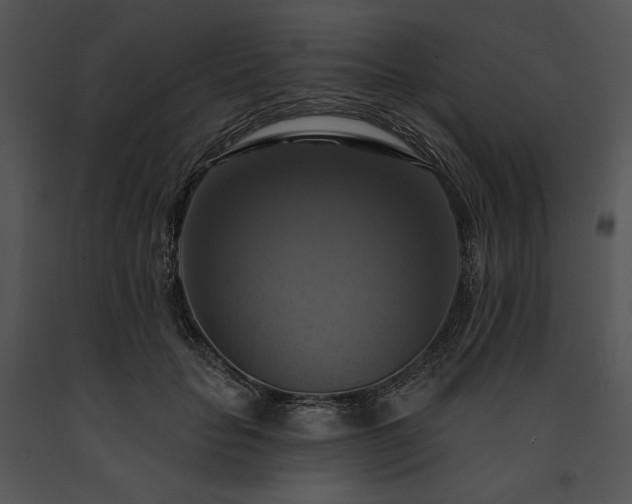 X0000091640653200708301400