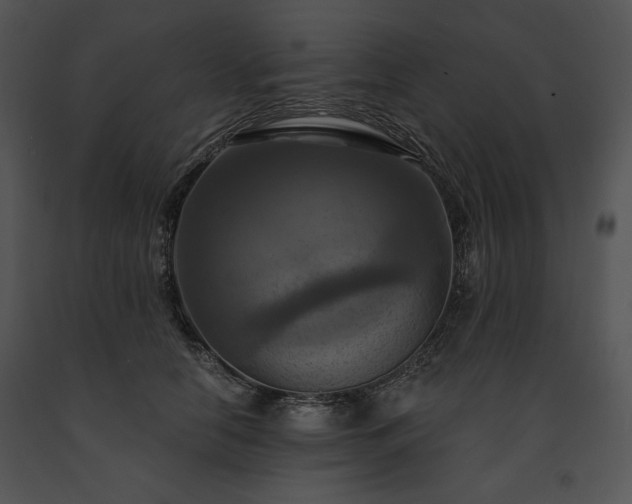 X0000091640658200708301400