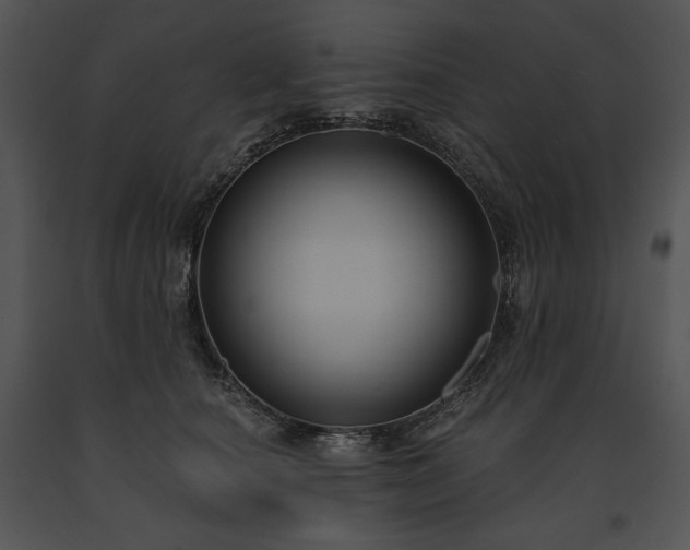 X0000091640660200708301400