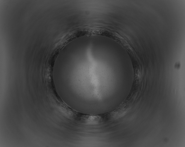 X0000091640663200708301400