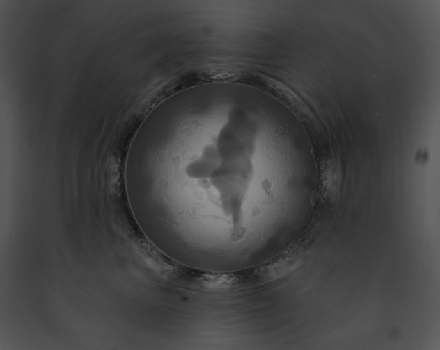 X0000091640667200708301400