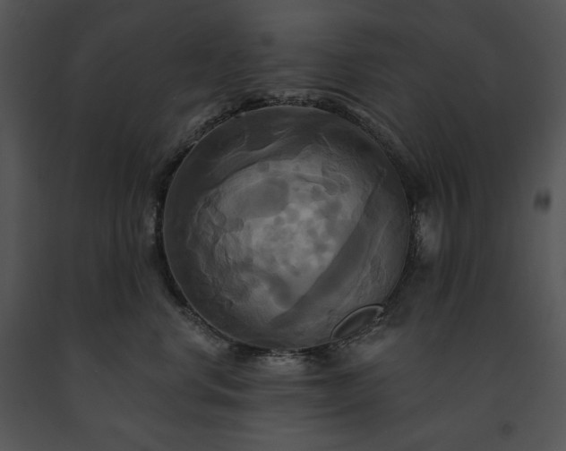 X0000091640668200708301400