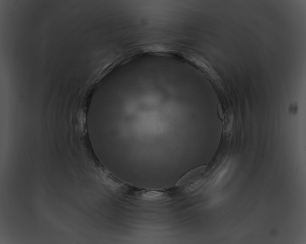 X0000091640669200708301400