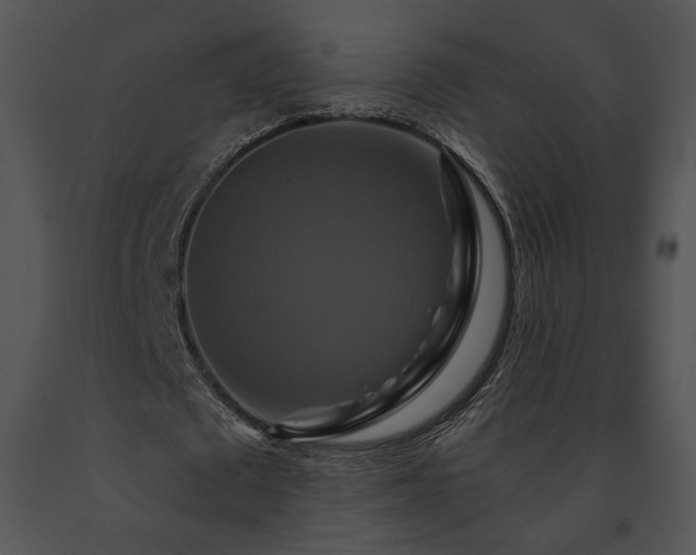 X0000091640673200708301359
