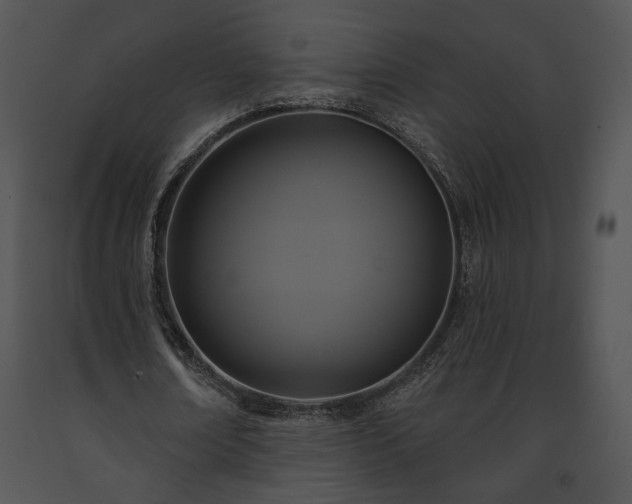 X0000091640674200708301359