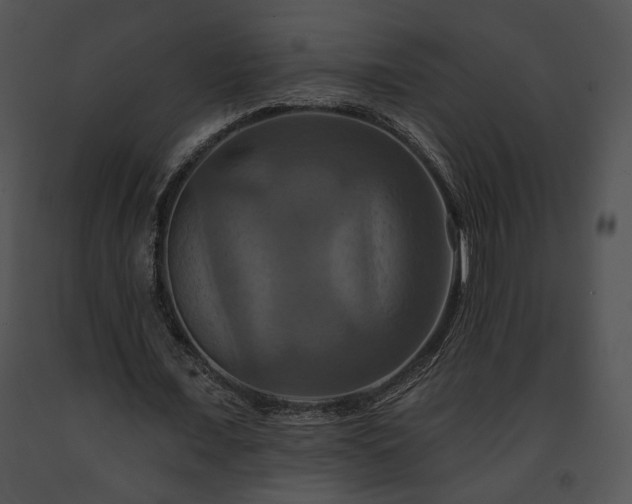 X0000091640675200708301359