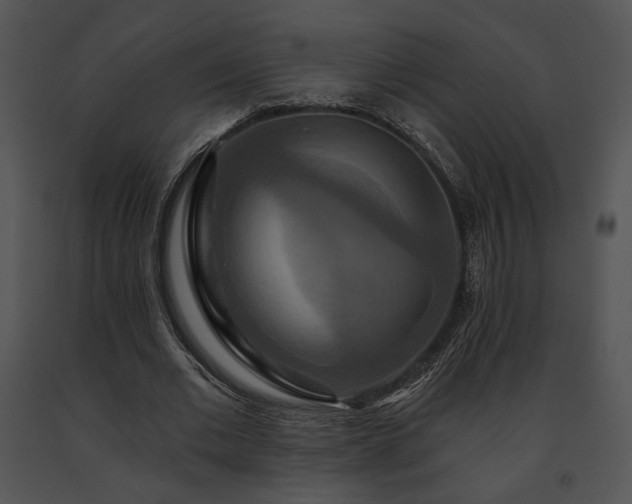 X0000091640677200708301359