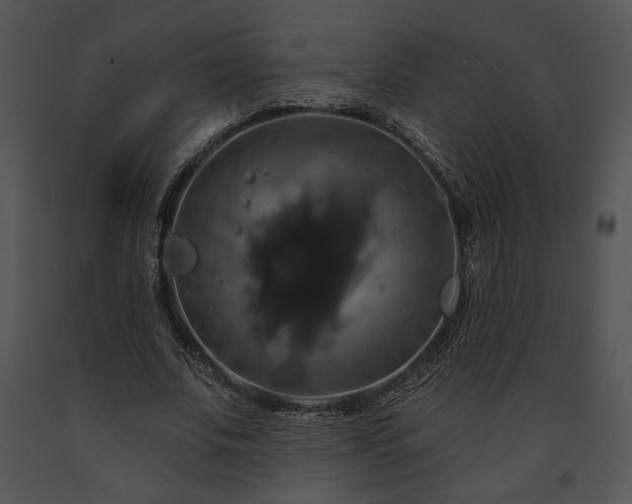 X0000091640679200708301359
