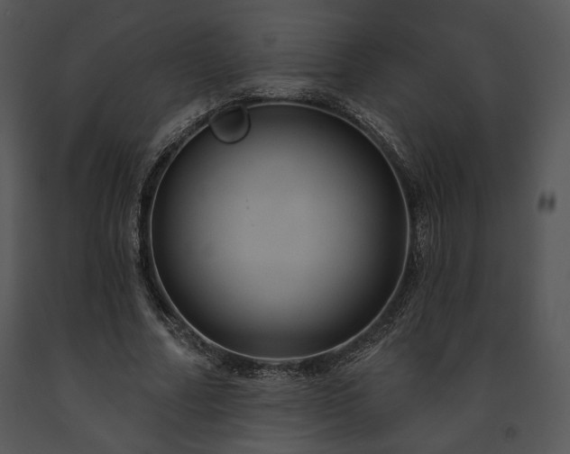 X0000091640682200708301359