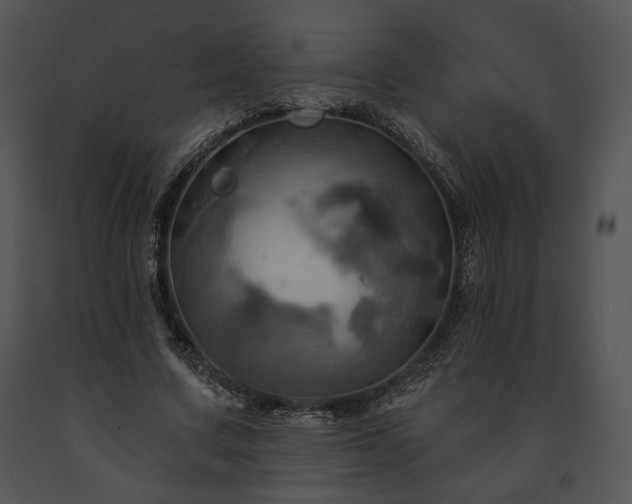 X0000091640683200708301359