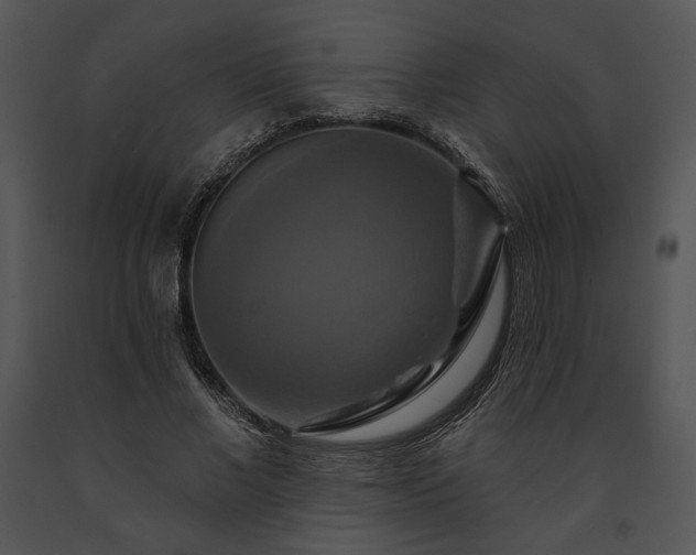 X0000091640685200708301359