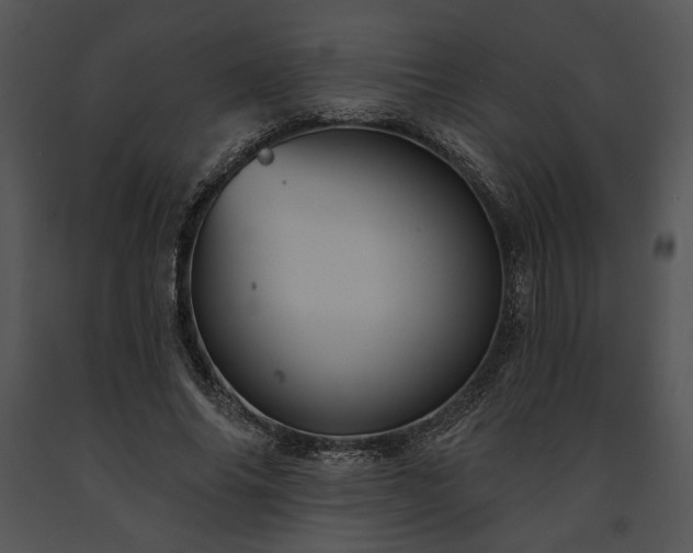 X0000091640686200708301359