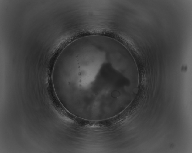 X0000091640687200708301359