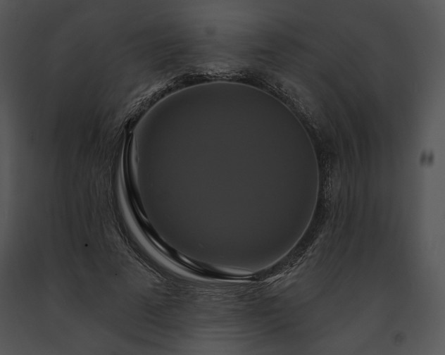 X0000091640689200708301359