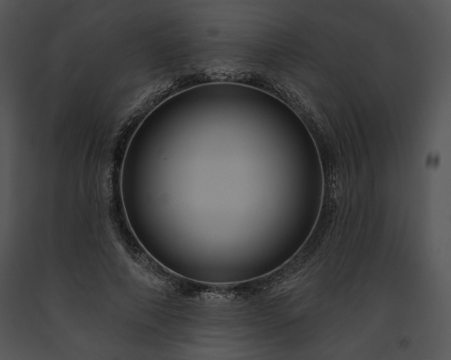 X0000091640690200708301359