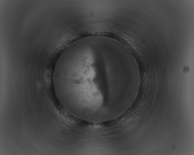 X0000091640695200708301359