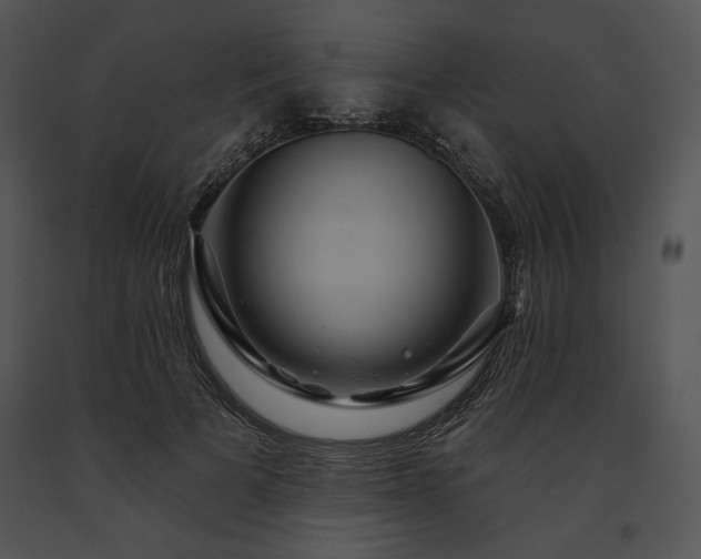 X0000091640697200708301359