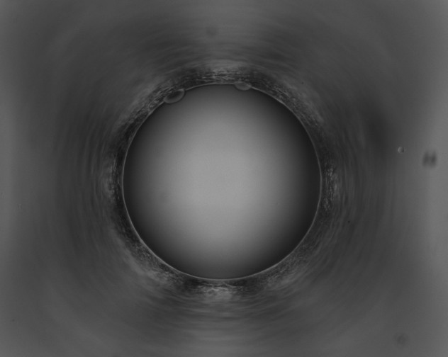 X0000091640698200708301359