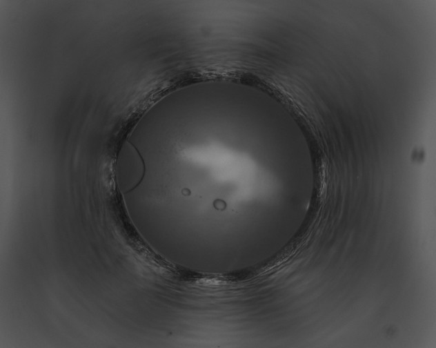 X0000091640699200708301359