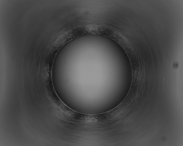 X0000091640702200708301359