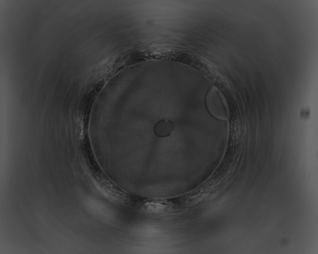 X0000091640703200708301359