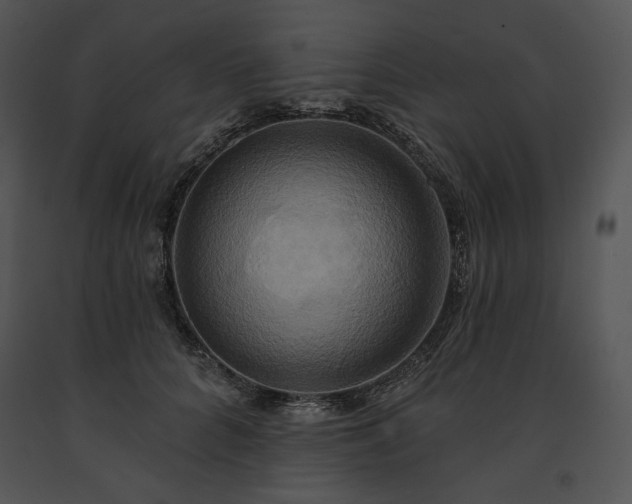 X0000091640704200708301359