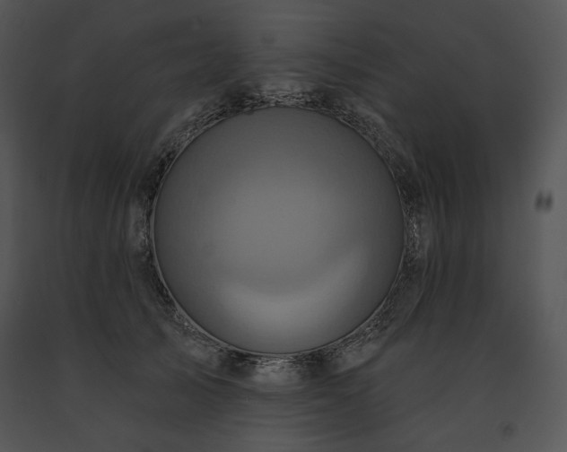X0000091640705200708301359