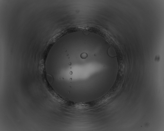 X0000091640707200708301359