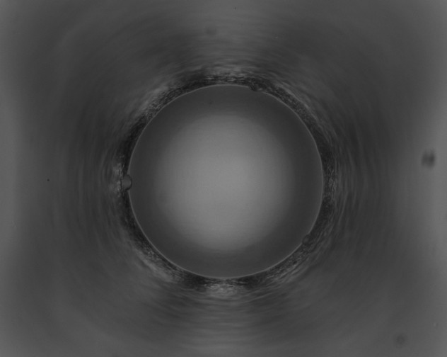 X0000091640708200708301359