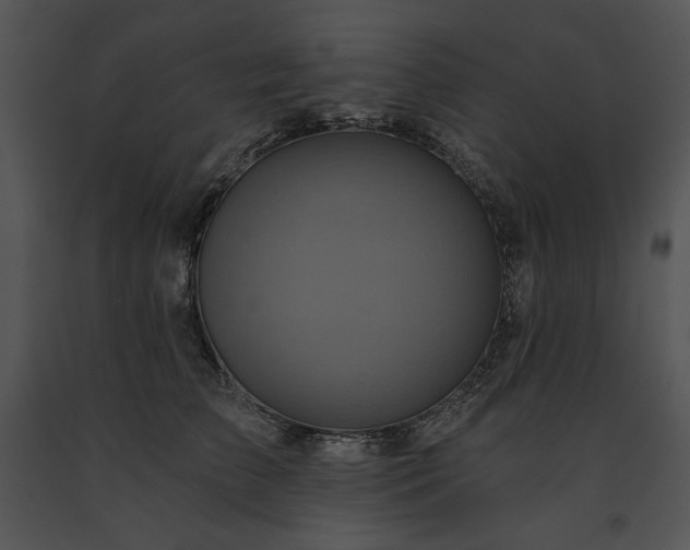 X0000091640709200708301359