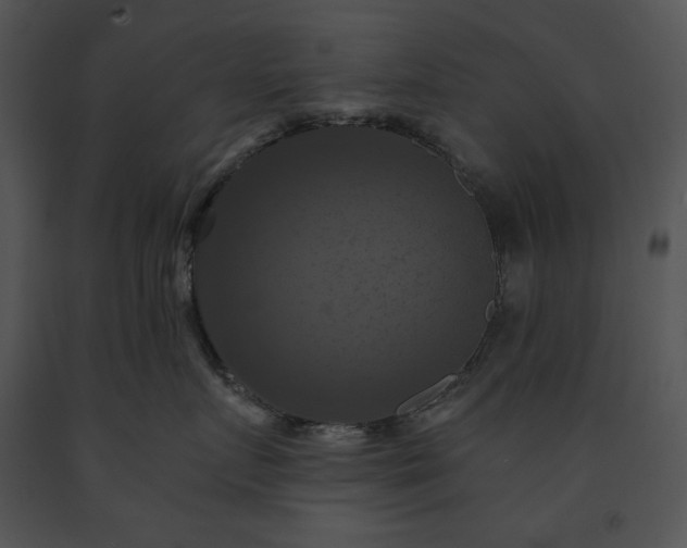 X0000091640719200708301358