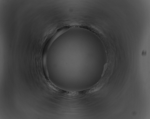 X0000091640720200708301358