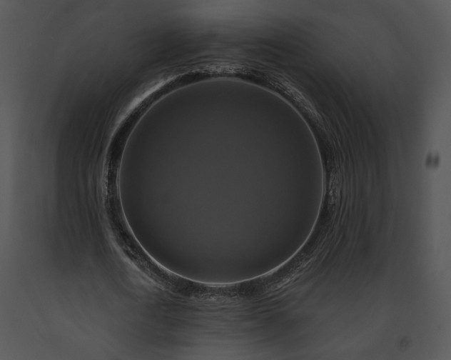 X0000091640722200708301358