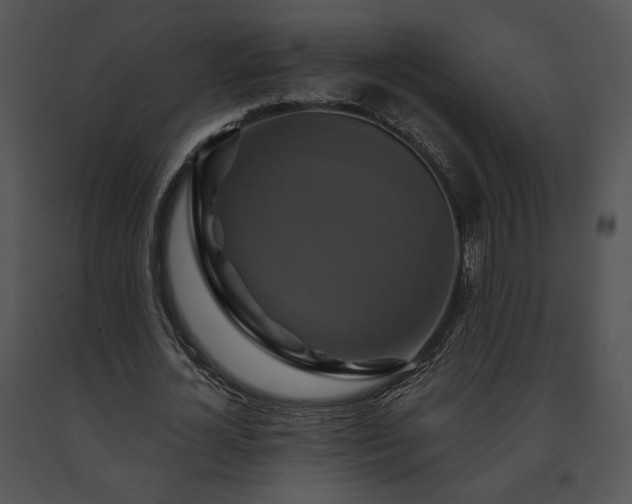 X0000091640724200708301358