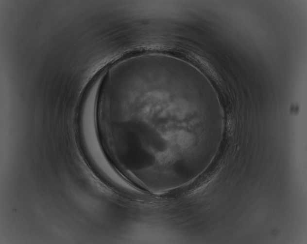 X0000091640725200708301358