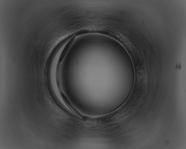 X0000091640727200708301358