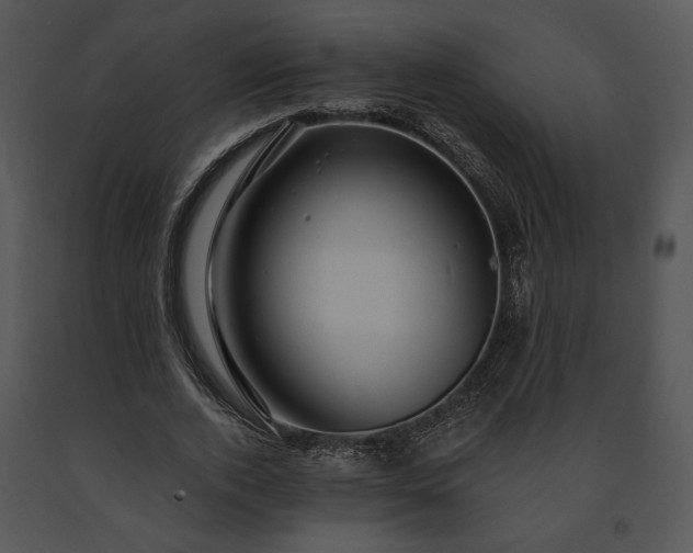 X0000091640728200708301358